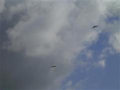 PICT1811.JPG
